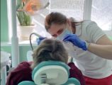 Володимир Поцелуєв: У лікарні Святого Пантелеймона стартувала безкоштовна стоматологічна допомога для переселенців — ініціатива, яка об’єднує медиків і благодійників