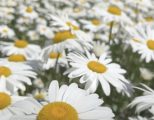 Комфорт, що лікує: як Володимир Поцелуєв змінює просторові умови лікарні Святого Пантелеймона